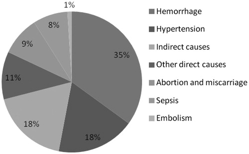 Figure 1. Causes of maternal mortality.
