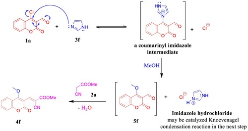 Scheme 3. Plausible reaction mechanism of the imidazole-catalyzed C–O bond formation in 4f.
