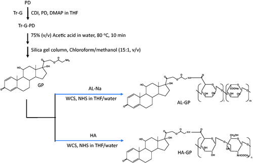 Figure 1. Synthesis of AL-GP and HA-GP.