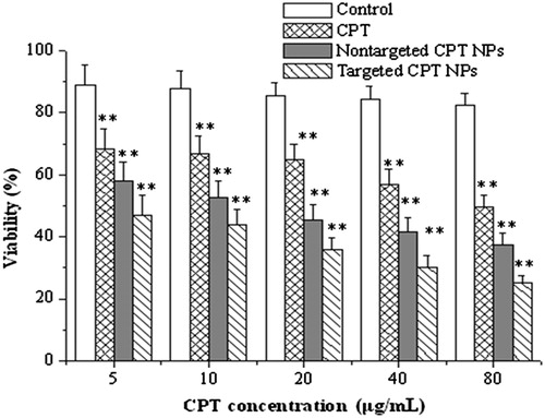 Figure 3. In vitro antitumor effects of CPT NPs on H22 cell lines. The concentrations of the blank NPs (control group) were set at the same level as those in the drug-loaded NPs group. **p < 0.01 compared with the control group.