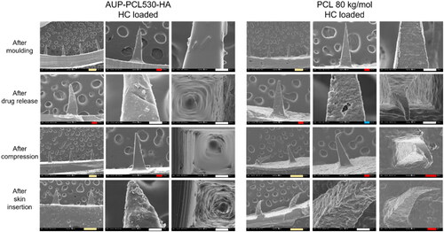 Figure 8. Scanning electron microscopy (SEM) micrographs of AUP-PCL530-HA and PCL 80 kg/mol MN arrays. The top row represents the HC loaded MN arrays after molding, the second row after drug release, the third row after compression testing, and the bottom row following ex vivo skin insertion. It should be noted that the phase separation of HC was more pronounced in the AUP-PCL530-HA arrays. Following drug release, the crystals have dissolved from the needles. Moreover, the AUP-PCL530-HA arrays stayed intact subsequent to compression and skin insertion, in contrast with the PCL 80 kg/mol arrays, which permanently deteriorated upon exerting mechanical stress. The scale bars refer to the following lengths: green – 200 µm, red – 100 µm, white – 50 µm, blue – 10 µm.