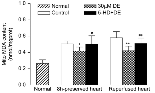 Figure 8.  Changes of mitochondrial malondialdehyde (MDA) in preserved hearts and reperfused hearts. Data are expressed as mean ± SD, n = 8. *p < 0.05, **p < 0.01 vs. control group; #p < 0.05, ##p < 0.01 vs. 30 μM DE group.