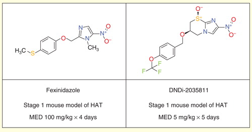 Figure 3. Fexinidazole and DNDi-2035811.
