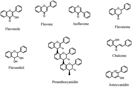 Figure 5 Structure of the main classes of flavonoids.