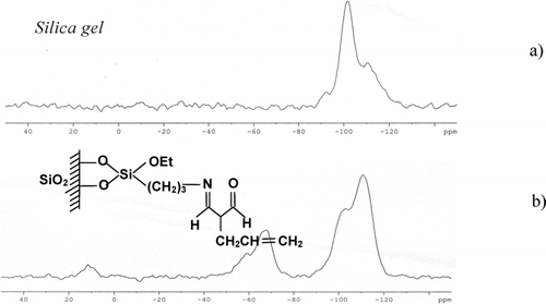 FIGURE 3 Spectra 29Si CP MAS NMR of (a) the unmodified silica and (b) the sorbent under study.