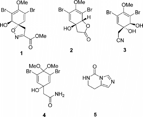 Figure 1 Structures of compounds 1–5 isolated from A. chiriquensis. and A. gerardogreeni..