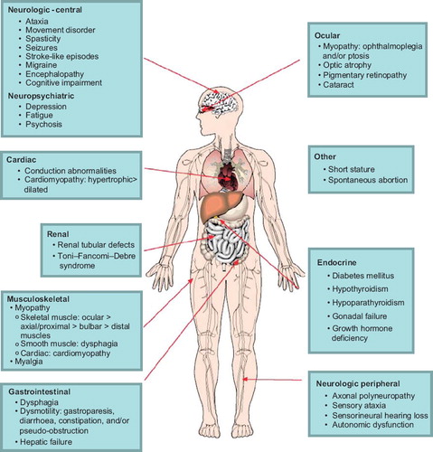 Figure 1. Clinical features of mitochondrial myopathies, by organ system.