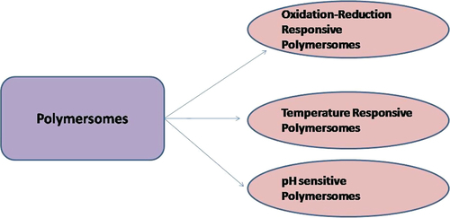 Figure 6. Types of polymersomes.