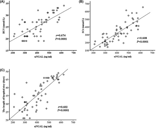 Figure 1. Correlations of peak uNGAL with the levels of peak BUN (A), peak SCr (B) and the lengths of hospital stay (C). The r denotes the Spearman correlation coefficient, and the line denotes the linear regression for each comparison.