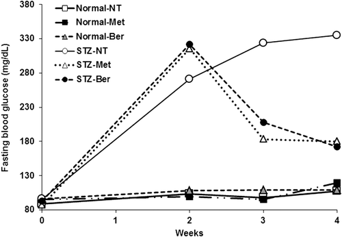 Figure 2.  Fasting blood glucose profile. The tail vein blood of all mice was collected before and weekly for 2 weeks after the treatment of streptozotocin (STZ) to determine fasting blood glucose level using a glucometer.