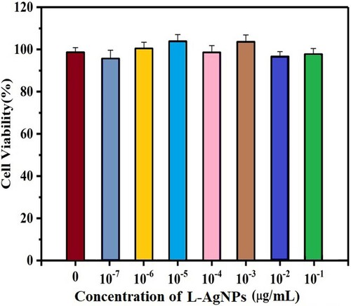 Figure 8. After being incubated L-AgNPs in the concentrations, the viability of A549 cells range from 0 to 10−7 μg/mL. The error bars show standard deviations on the basis of three independent measurements.