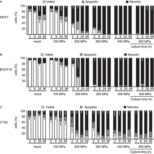 Figure 3.  High hydrostatic pressure (HHP) treatment effects upon the levels of necrosis in tumor cells. The bar charts represent the percentage of viable (AxV−/PI−), apoptotic (AxV+/PI−), and necrotic (AxV+/PI+) (A) MCF7, (B) B16-F10, and (C) CT26 tumor cells that were treated with the indicated pressures, as a function of the length of post-treatment culture time. Data (expressed as mean ± SD) were obtained from at least three independent experiments, each performed in duplicate.