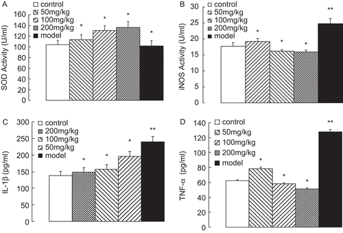 Figure 8.  (A) SOD activity, (B) iNOS activity, (C) IL-1β content and (D) TNF-α content in rat serum after an eight week establishment of OA models. Results are expressed as mean ± SD (n = 6), *P < 0.05 and **P < 0.01 compared with control.