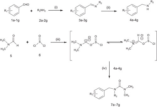 Scheme 1.  Synthetic route for benzyl urea derivatives. Reagents & condition: (i) ethanol, reflux, 1–2 h (ii) NaBH4, 50°C, 2–3 h (iii) dry CH2Cl2, 70°C, 4 h (iv) dry CH2Cl2, dry pyridine, 60°C, 5–6 h.