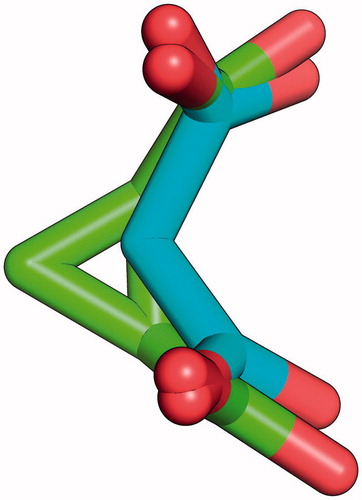 Figure 2. Superposition of malonate (cyan) and cis-1,2-cyclopropanedicarboxylate (green).
