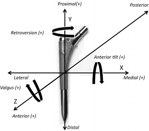 Figure 3. The coordinate axes of stem rotation and translation.