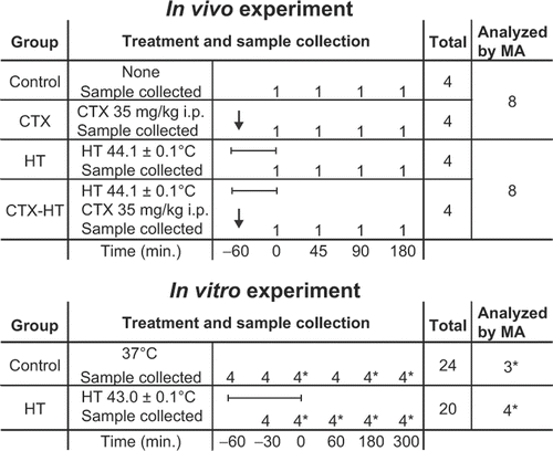 Figure 1. Outline of sample collection. We analyzed global gene expression at 0, 45, 90 and 180 min in the four treatment groups in vivo, at 0, 180 and 300 min in the in vitro control group (3 samples), and at 0, 60, 180 and 300 minutes in the in vitro HT group (4 samples). *, equal amounts of total RNA from four parallel samples were mixed and analyzed as one by the microarrays; bar, indicate HT treatment session; arrow, CTX or saline injected at start of HT; MA, microarray.