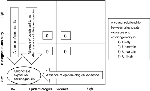 Figure 2. Likelihood of glyphosate carcinogenicity based on experimental and epidemiological data; a causal inference grid as proposed by CitationAdami et al. (2011) to utilize both toxicological and epidemiological data.