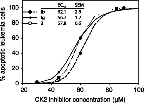 Figure 8. The ability of oxazinocarbazoles to induce IPC-81 leukemia cell death. IPC-81 cells were incubated with various concentrations of the compounds Ib, Ig, and 2, and apoptosis assessed by microscopic evaluation of leukemia cell morphology after 24 h.