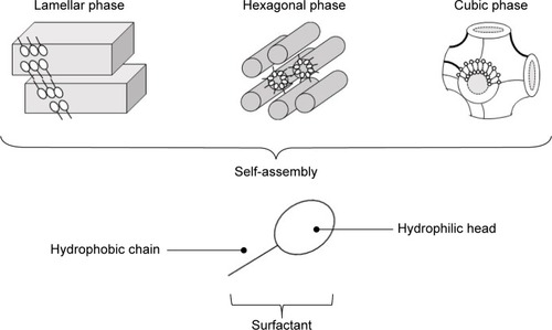 Figure 1 Schematic representation of lamellar, hexagonal, and cubic liquid-crystal mesophases formed by surfactant-molecule self-assembly.