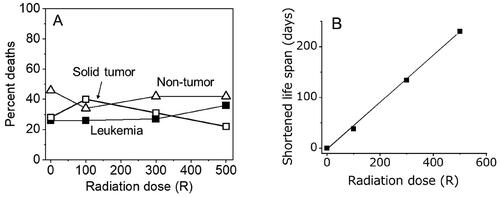 Figure 3. (A) Neither an increased proportion in tumor deaths nor a decreased proportion of non-tumor deaths were observed following radiation exposures of up to 500 R (Storer Citation1965). (B) in the same study, life span was reduced in a dose dependent manner.