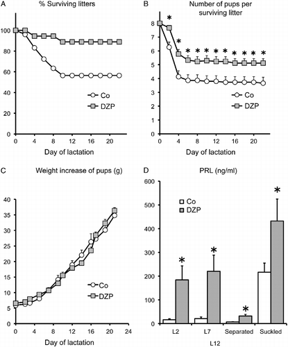Figure 4.  Effect of diazepam on the lactation performance of OFA hr/hr rats. Panel A: the percentage of surviving litters. Panel B: number of surviving pups per litter. Panel C: pup weight gain. Panel D: serum prolactin concentrations on days 2 (L2) and 7 (L7) and after 8 h separation (separated) and 30 min suckling (suckled) on day 12 of lactation (L12). Lactating OFA rats were given diazepam (DZP) in the drinking water or water alone (Co) from day 19 of pregnancy until day 15 of lactation. OFA dams nursed eight SD foster pups. Data are mean ± SEM of groups of 18 rats for panels A–C and 8–10 rats for panel D. *P < 0.05 vs. control rats; two-way ANOVA and τ-test.