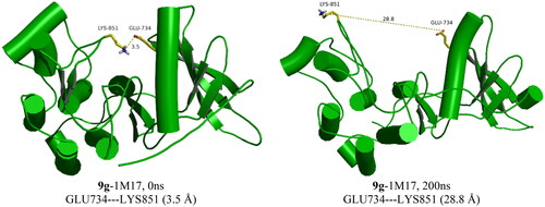 Figure 8. The GLU734–LYS851 distances in the 9g-1M17 complex during the simulations time.