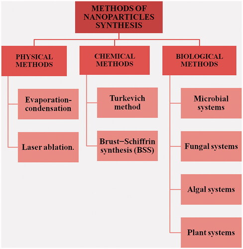 Figure 1. Methods of nanoparticle synthesis.