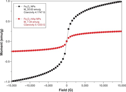 Figure 5 Magnetic hysteresis loops of pure Fe3O4 and Fe3O4-HAp nanoparticles.Abbreviations: Fe3O4, iron oxide; HAp, hydroxyapatite; NPs, nanoparticles; Ms, saturation magnetization.