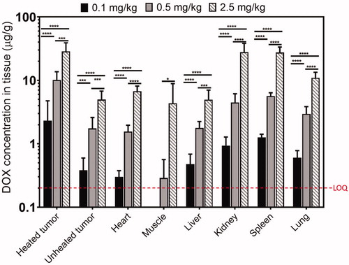 Figure 3. DOX accumulated concentration in rabbits treated with different injected doses of LTLD and MR-HIFU hyperthermia. Significantly higher DOX concentration was observed in tumors and other organs with increased injected LTLD. DOX concentration for muscle at 0.1 mg/kg was below the LOQ. *p ≤ 0.05, **p ≤ 0.01, ***p ≤ 0.001, ****p ≤ 0.0001.