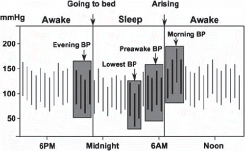 Figure 2. Twenty-four-hour ambulatory blood pressure measurement showing a typical dip in night-time blood pressure and a rise in early morning blood pressure (Citation53). Reproduced with permission from Kario et al. (Citation53).