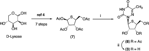 Scheme 2 Reagents and Conditions: (i) 6-Azathymine, BSA, CH3CN, 30 min then 7, TMSOTf, CH3CN, 50°C, 12 h (ii) CH3NH2 (35% aqueous), 50°C, 30 min.