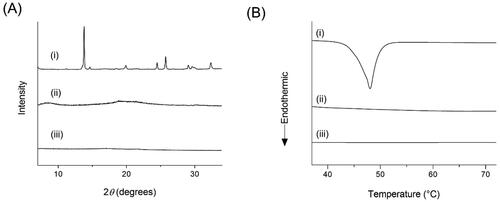 Figure 2. Crystallinity assessment of TQM samples using (A) XRPD and (B) DSC. (I) Crystalline TQM, (II) SMSD-TQM/RVD, and (III) SMSD-TQM/FD.