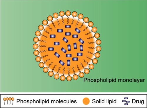Figure 6 Solid lipid nanoparticles structure.
