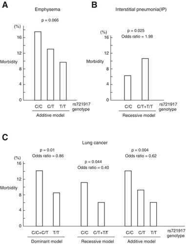 Figure 1.  Association study for rs721917. (A) Emphysema with the additive model. (B) IP with the recessive model. (C) Lung cancer with the dominant, recessive, and additive models. Odds ratios are shown for models in which significant associations were observed.