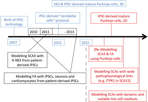 Figure 2. Modelling cerebellar diseases with hiPSC technology: past, present and future. We think, SCA3 and Friedreich's ataxia (FA), as the most common autosomal-dominant and -recessive cerebellar degenerative conditions, should be remodelled using PCs differentiated from patient-derived iPSCs once possible. Furthermore, preferential choice should target cerebellar diseases due to genetic defects in pathophysiologically widely linked genes, e.g. SCA15 (CitationSchorge et al., 2010), and employ suitable cellular readouts with a focus on electrophysiology and live-cell imaging to widen our knowledge about cerebellar diseases as ‘impaired network and impaired plasticity’ disorders.
