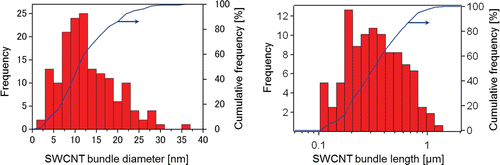 Figure 3.  Distribution of SWCNT bundle diameter (left) and length (right) in 2 mg/mL SWCNT dispersion measured from digital images acquired by atomic force microscopy.