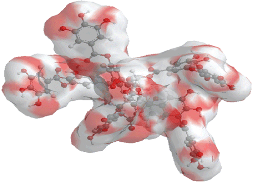 Figure 1.  Canonical surface of energy minimized structure of tannic acid (TA, Penta-m-digalloyl-glucose).