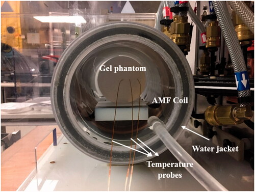 Figure 2. Experimental setup for the gel phantom experiments. Agar gel phantoms were inserted in the center of a 20-cm horizontal modified Maxwell coil inside a water jacket with temperature controlled at 20 °C. Temperatures were measured at the center of the gel, rgel/3, and 2rgel/3 distance along the radius of the gel, where r is the gel radius.