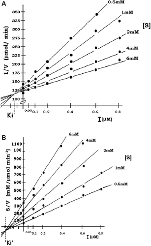 Figure 5.  Determination of Ki and Ki′ of nimbidiol on intestinal isomaltase. Dixon plot (1/V vs I) for inhibition of nimbidiol on activities of intestinal isomaltase (a) and S/V vs I plot for inhibition of nimbidiol on intestinal isomaltase (b). Nimbidiol (0.05–0.8 µM) was added against different concentrations (0.5–6 mM) of isomaltose [S]. Enzyme activities were determined as mentioned in the text.