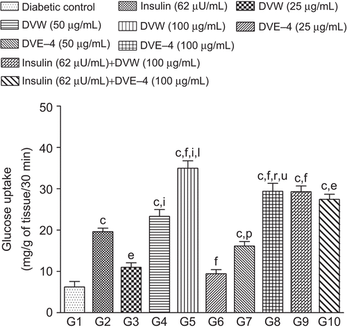 Figure 8.  Effect of different concentration of DVW and DVE-4 on glucose uptake by isolated hemi-diaphragm of diabetic rat. Bar graph represents the glucose uptake mg/g of tissue/30 min. Each value represents mean ± SEM, n = 6. cp <0.001 compared to diabetic control; ep <0.01, fp <0.001 compared to insulin treated group; ip <0.001 compared to DVW (25 μg/mL) treated group; lp <0.001 compared to DVW (50 μg/mL) treated group; pp <0.05, rp <0.001 compared to DVE-4 (25 μg/mL) treated group; up <0.001 compared to DVE-4 (50 μg/mL) treated group.