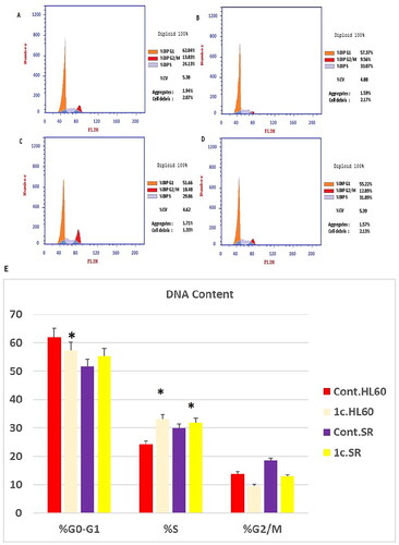 Figure 10. Flow cytometric analysis of cell cycle phases after compound 1c treatment in HL60 and leukaemia SR cell lines. (A & C) The histograms represent the cell cycle distribution of control (HL60 & leukaemia SR cells). (B & D) The histograms represent the cell cycle distribution of compound 1c treated cells. (E) A column graph represents the percentage of cells in each phase of the cell cycle in compound 1c treated.