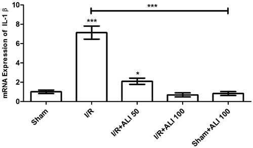 Figure 8. Effects of aliskiren treatment on relative mRNA expression levels of IL-1β in rats’ kidney tissues. Notes: Expressions of mRNAs were detected by quantitative real time PCR analysis. β-actin was used as the reference gene. Gene-specific probes were used as outlined under “Material and methods”. The relative expression levels were calculated by the 2−ΔΔCT method. ALI: aliskiren, I/R: ischemia/reperfusion. Values of all significant correlations are given with degree of significance indicated (*p < 0.05, ***p < 0.0001).