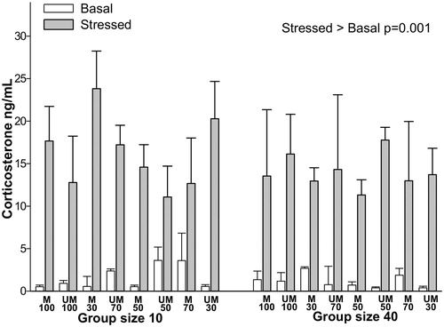 Figure 1. Plasma corticosterone concentrations in adult hens with different artificial phenotypic appearance (PA) from day one of age. Basal = birds reared in regular husbandry conditions; Stressed = same birds submitted to 5 min acute stress consisting of individual isolation in a novel environment. Bars represent the mean ± SE (number of birds per homogeneous or heterogeneous group/phenotype condition = 9, total number of birds in the study = 180). Data were analyzed by mixed-model ANOVA; p = 0.001, stressed > basal; no significant effects of PA or GS. M = marked; UM = unmarked; 100, 30, 50 and 70 = 100, 30, 50 and 70% of the birds within a flock either marked or unmarked. Group size 10 = birds reared in groups of 10 individuals. Group size 40 = birds reared in groups of 40 individuals.