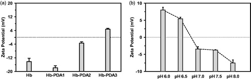 Figure 2. Influence of mass ratio and pH value on zeta potential of Hb-PDA nanoparticles. (a) Zeta potentials of Hb-PDA nanoparticles in neutral aqueous solution with different mass ratios of DA/Hb from 1/10 to 1/2.5. (b) Zeta potentials of Hb-PDA nanoparticles in solutions with the same ionic strength (150 mM) and different pH (6–8).