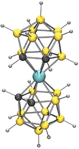 Figure 7. A cobalt dicarbolide anion. The cobalt atom is blue, the boron atoms are gold colour, the carbon atoms are dark grey and the hydrogen atoms are light grey.