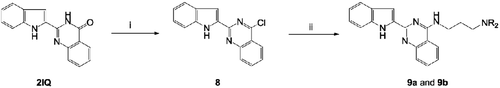 Scheme 2.  Synthesis of 4-substituted 2-(1H-indol-2-yl)quinazolin-4(3H)-one derivatives (9a and 9b). Reagents and conditions: (i) POCl3, PhN(CH2CH3)2/Ph, reflux, 6 h and (ii) H2N(CH2)3NR2, EtOH, KI, reflux; (‘R-’ are shown in Table 1).
