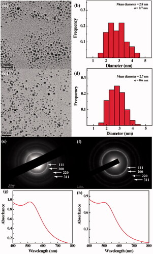Figure 1. (a,c) TEM images, (b,d) size distribution, (e,f) selected area electron diffraction pattern and (G,H) UV-vis spectra of Au-Ac-PENPs (a, b, c, and g) and Au-Gly-PENPs (c, d, f, and h), respectively.