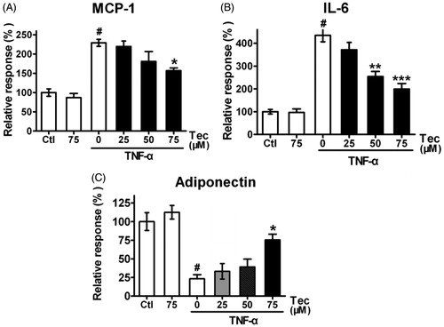 Figure 3. Effects of tectorigenin on adipocytokines expression in 3T3-L1 cells treated with TNF-α. 3T3-L1 adipocytes were pre-incubated with 0–75 μM Tec (tectorigenin) for 6 h and exposed to TNF-α (5 ng/mL) for 16 h. The secreted proteins (A) IL-6, (B) MCP-1, and (C) adiponectin in the conditioned medium were measured using ELISA kits. Data (mean ± SEM) are representative of four independent experiments. #p < 0.01 versus control; *p < 0.05, **p < 0.01, and ***p < 0.001 versus TNF-α (5 ng/mL).