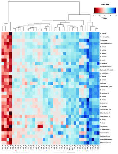Figure 2. Hierarchical clustering of the HTF-Microbi.Array profiles of IBS subjects before and after the probiotic administration. Microarray fingerprints at the baseline are indicated by t0, whereas fingerprints after the probiotic intervention are indicated by t1. Color intensity represents the relative bacterial abundance in the sample, in relation to the study population. Subjects whose t0 and t1 samples are not clustering together are marked with dots of different colors. Subjects whose t0 and t1 samples are clustering together are connected by line. Euclidean distance and Ward's clustering method were applied to log-transformed data.